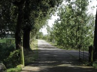 /album/fotogallerij/oprit-richting-m-weg-jpg/